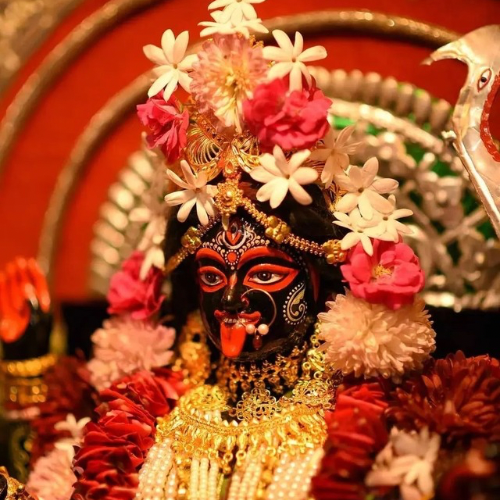 best astrologer in Victoria