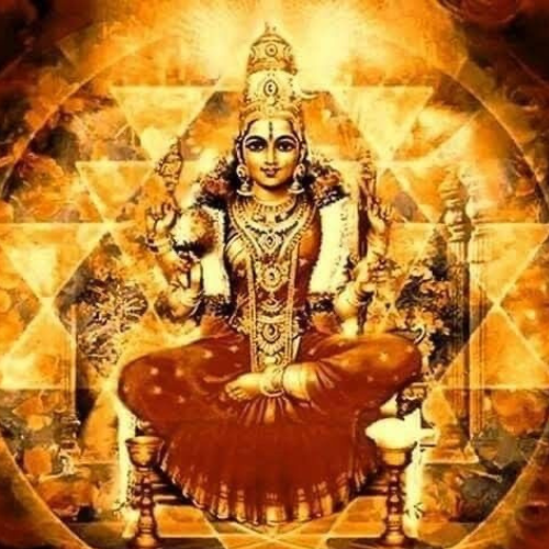 best astrologer in Delta